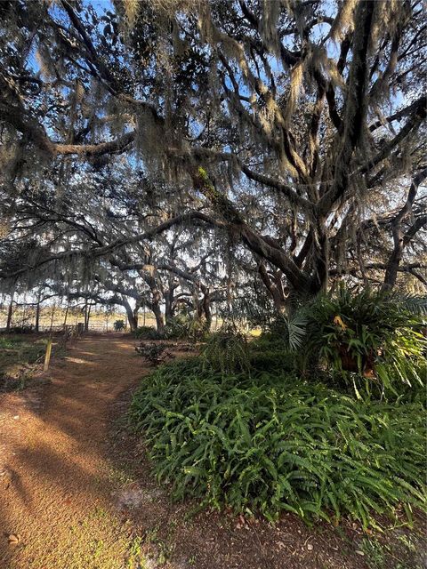 Tiny photo for 3230 Empire Church Road, Groveland, FL 34736 (MLS # G5105677)