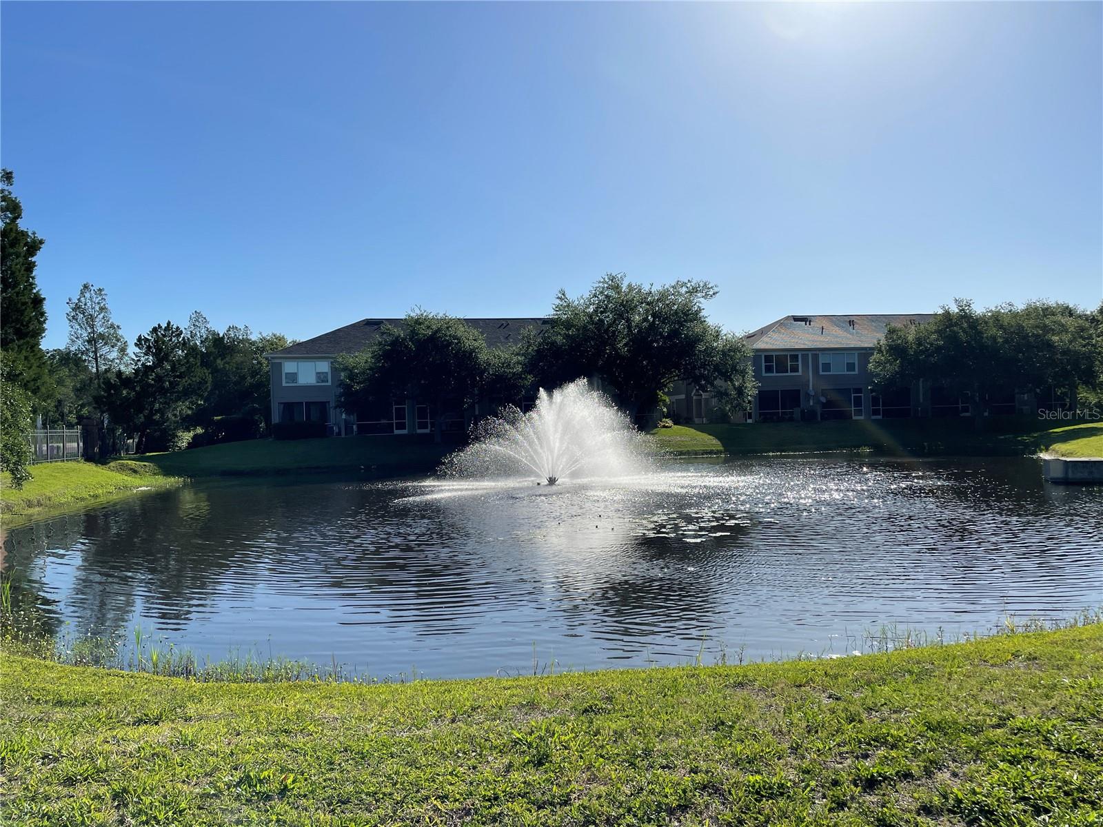 WINDSOR PLACE AT CITRUS PARK P - Residential