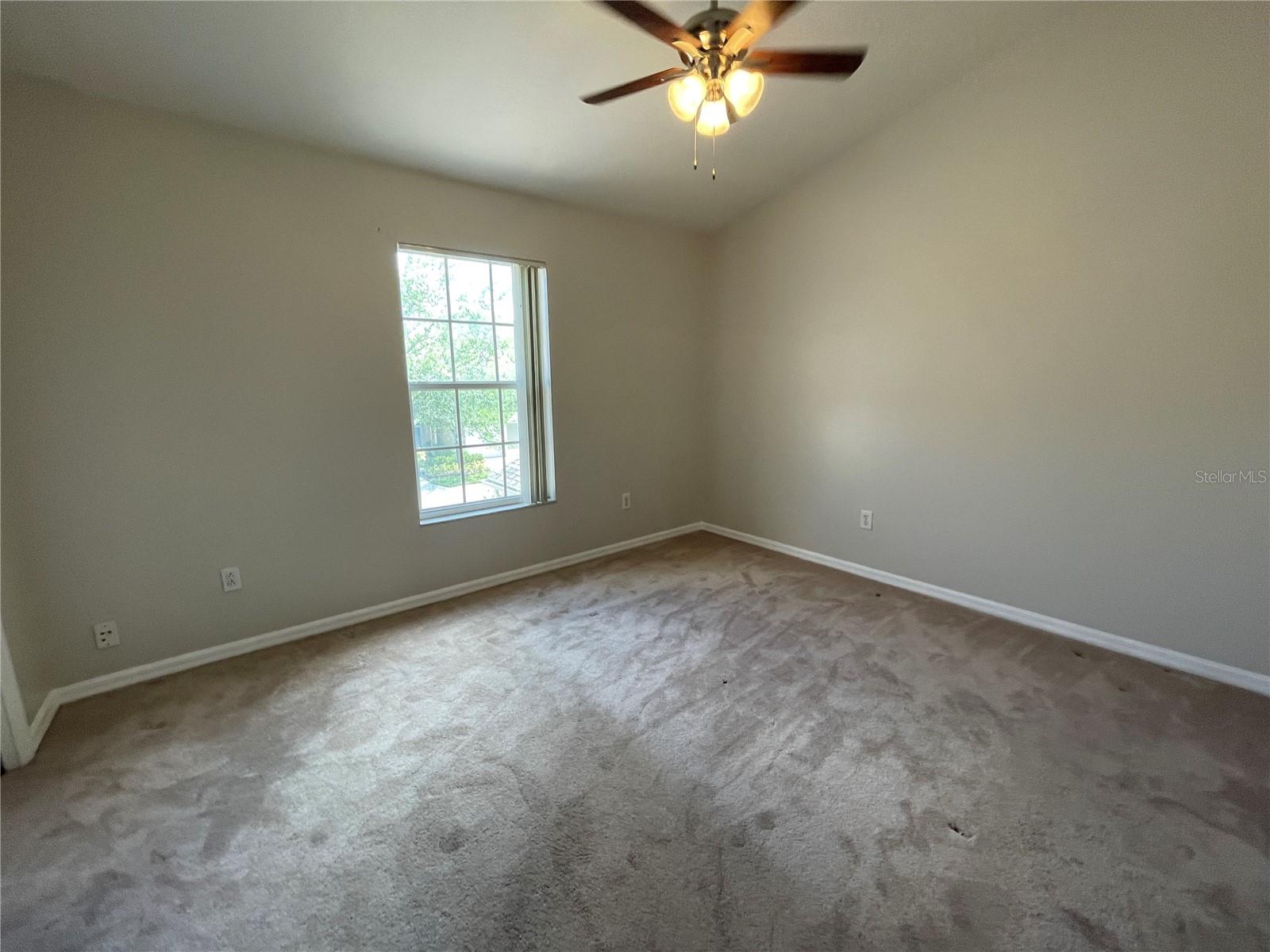 WINDSOR PLACE AT CITRUS PARK P - Residential