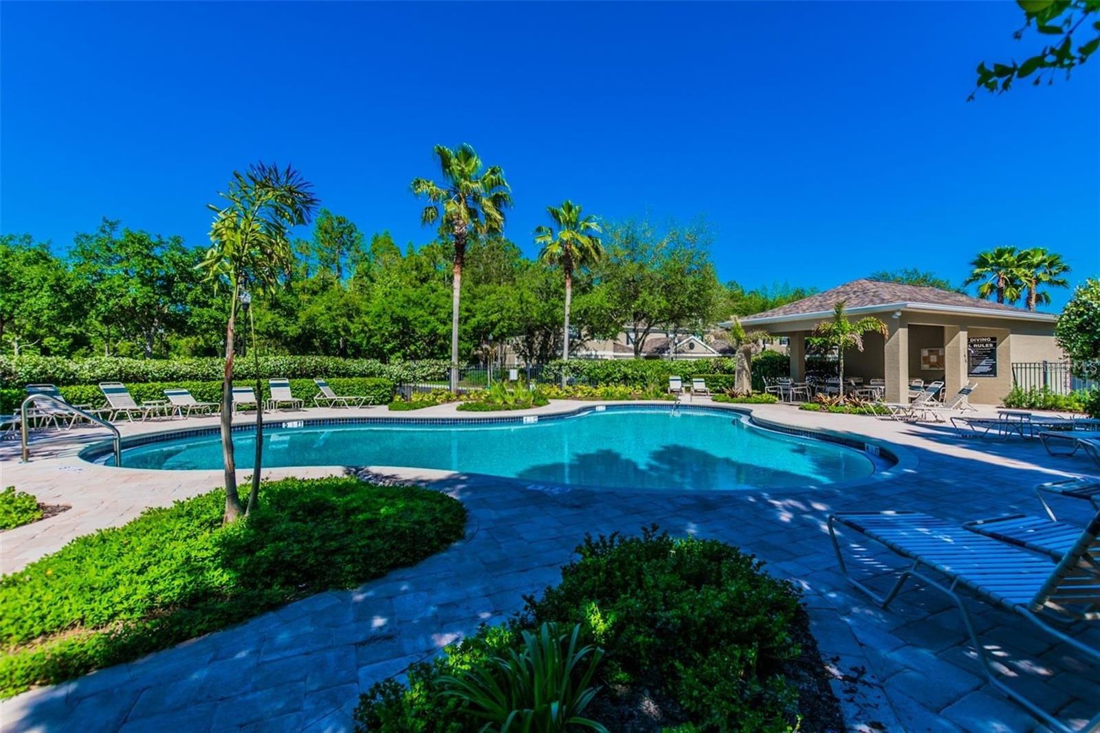 WINDSOR PLACE AT CITRUS PARK P - Residential