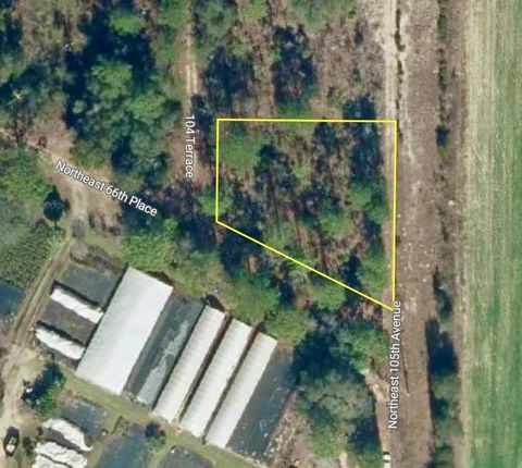 Tiny photo for 000 66th Pl. NE, Bronson, FL 32621 (MLS # O6387660)