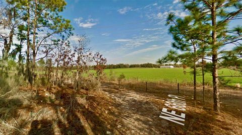 Tiny photo for 000 66th Pl. NE, Bronson, FL 32621 (MLS # O6387660)