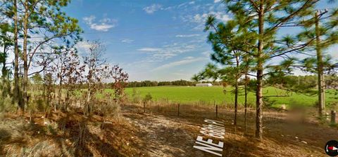 Tiny photo for 000 66th Pl. NE, Bronson, FL 32621 (MLS # O6387660)
