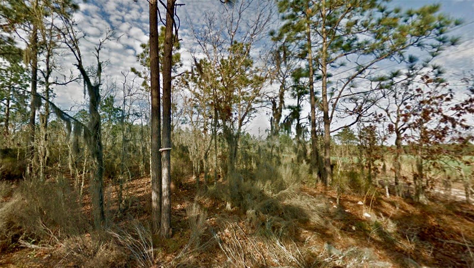 BRONSON HEIGHTS - Land