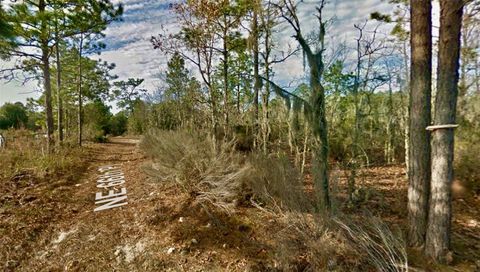 Tiny photo for 000 66th Pl. NE, Bronson, FL 32621 (MLS # O6387660)
