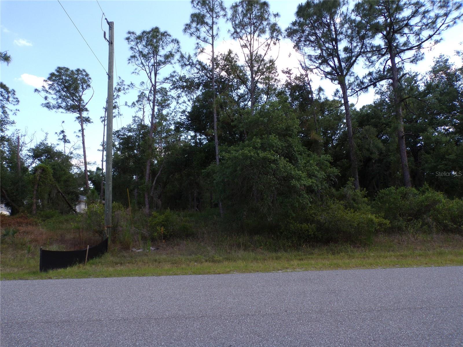 ULMAN AVENUE