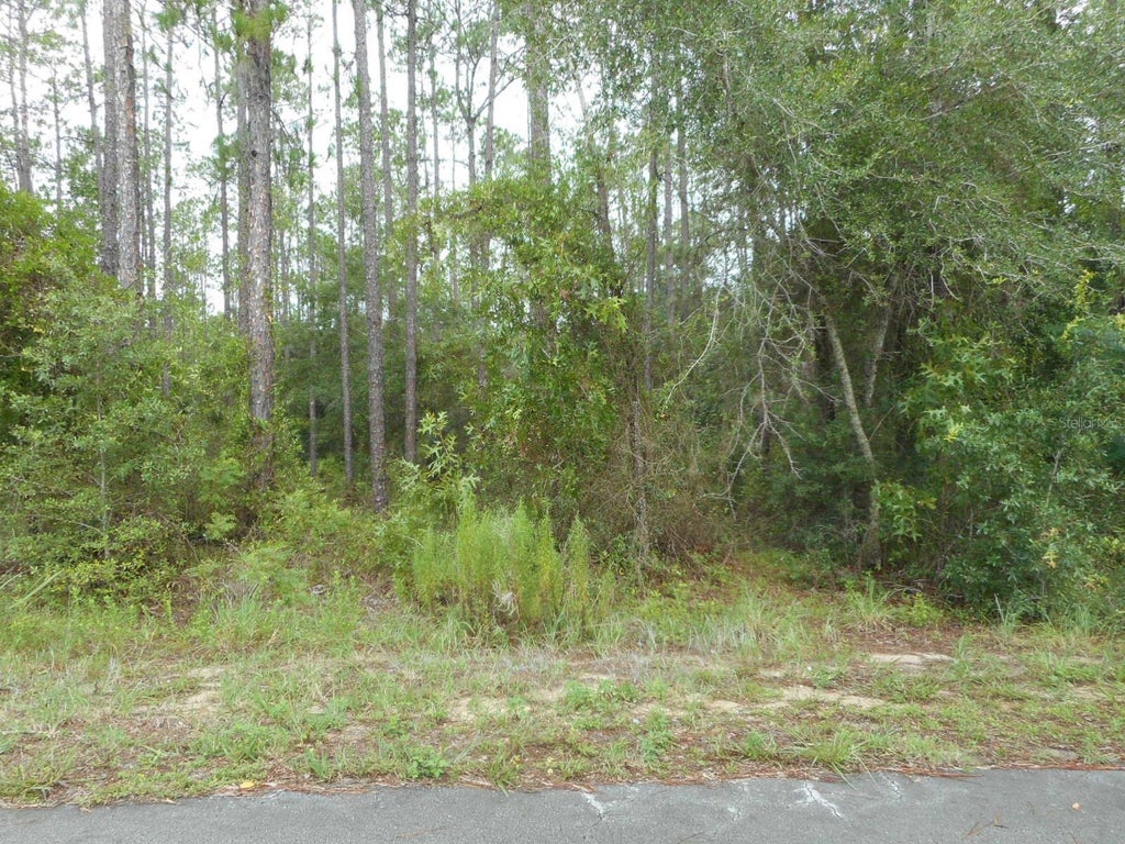 Photo of 5 SW Southview Court, Dunnellon, FL 34431 (MLS # OM729681)