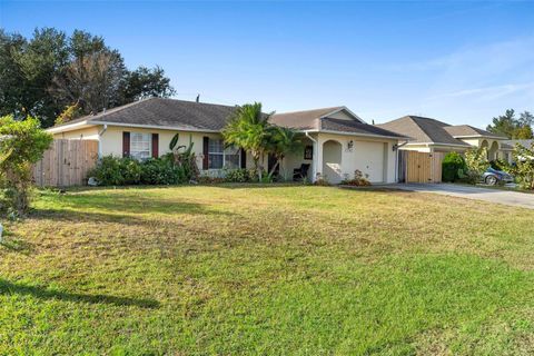 A home in DELTONA