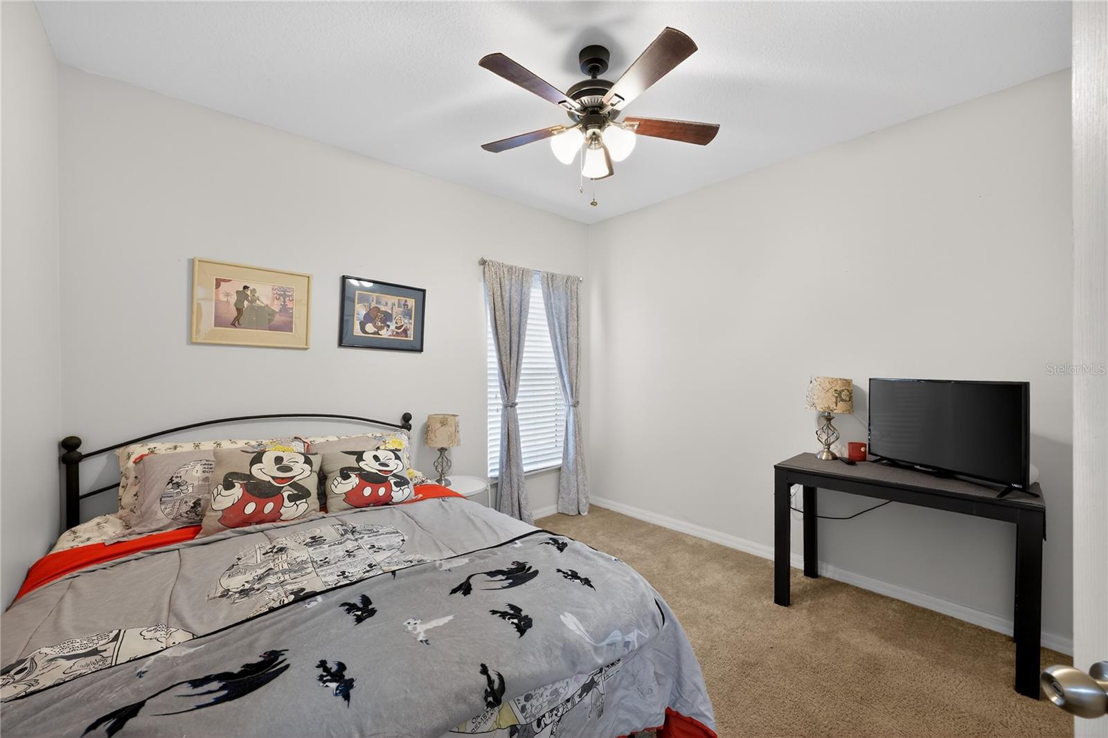 RAINTREE AT SPRINGLAKE VILLAGE PH 2 - Residential