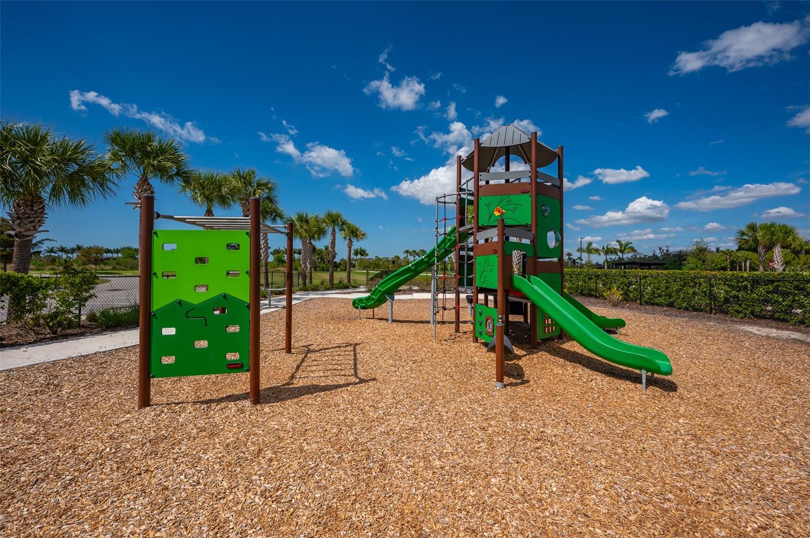 SKYE RANCH NBRHD THREE - Residential