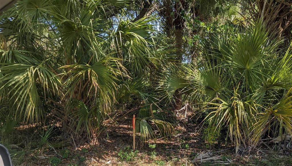 Photo of Muglone Lane, North Port, FL 34286 (MLS # O6226137)