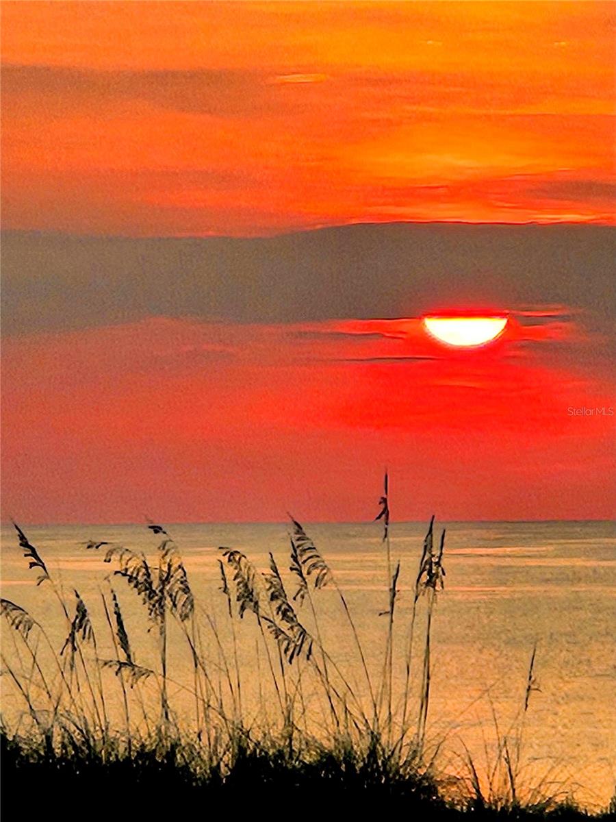 MARINELAND ACRES SUB - Residential