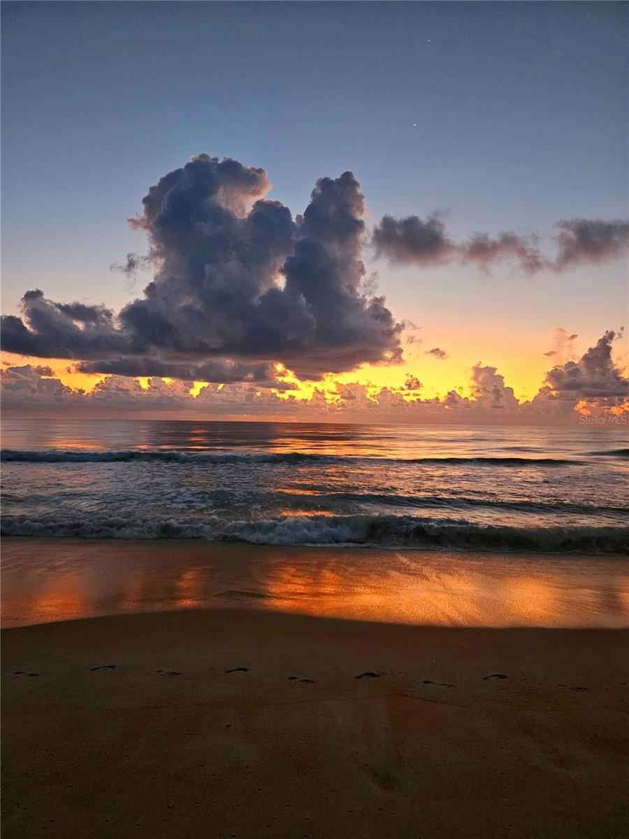 MARINELAND ACRES SUB - Residential