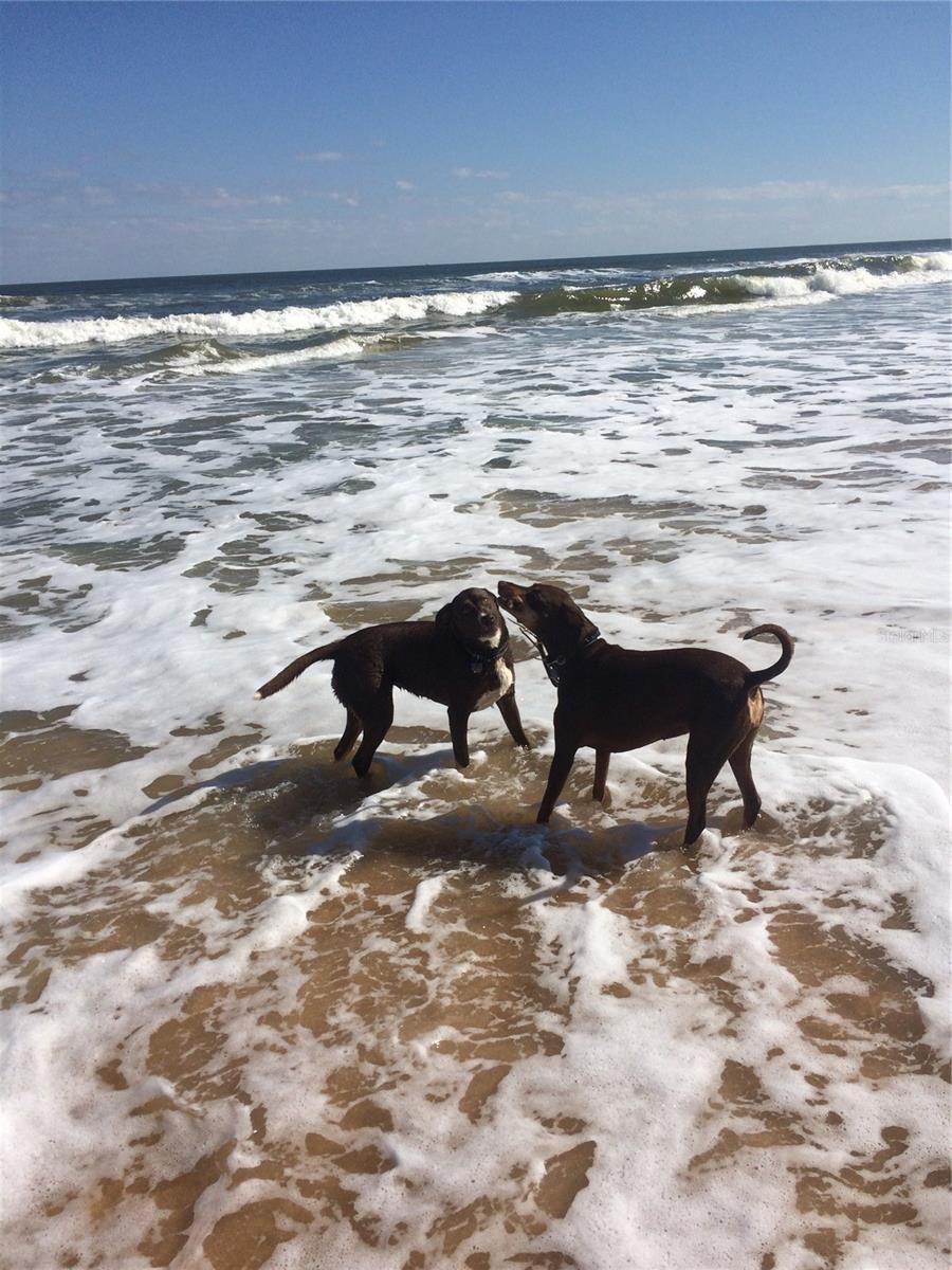 MARINELAND ACRES SUB - Residential