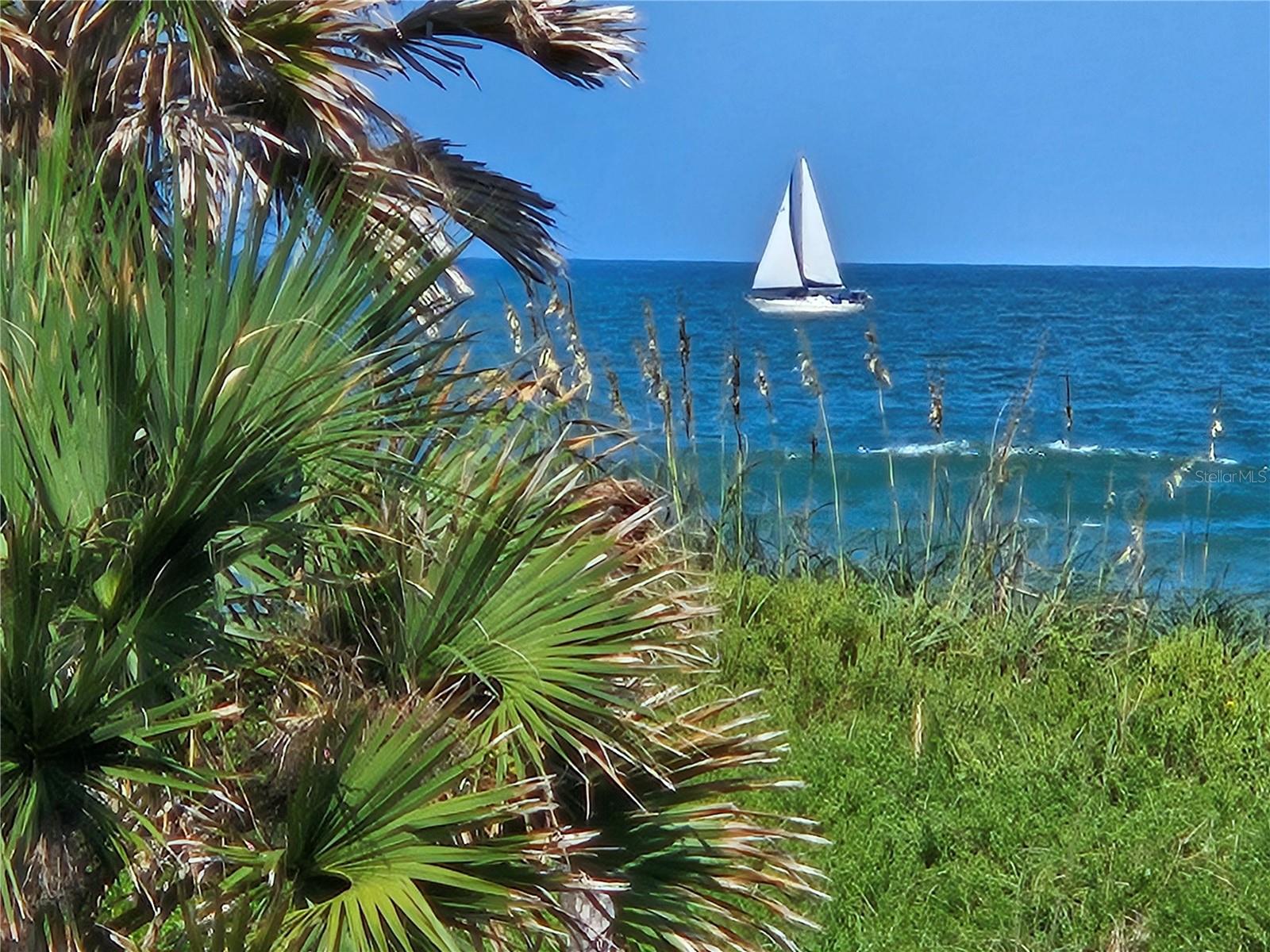 MARINELAND ACRES SUB - Residential