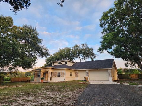 Photo of 24247 Wolf Branch Road, Sorrento, FL 32776 (MLS # O6356909)