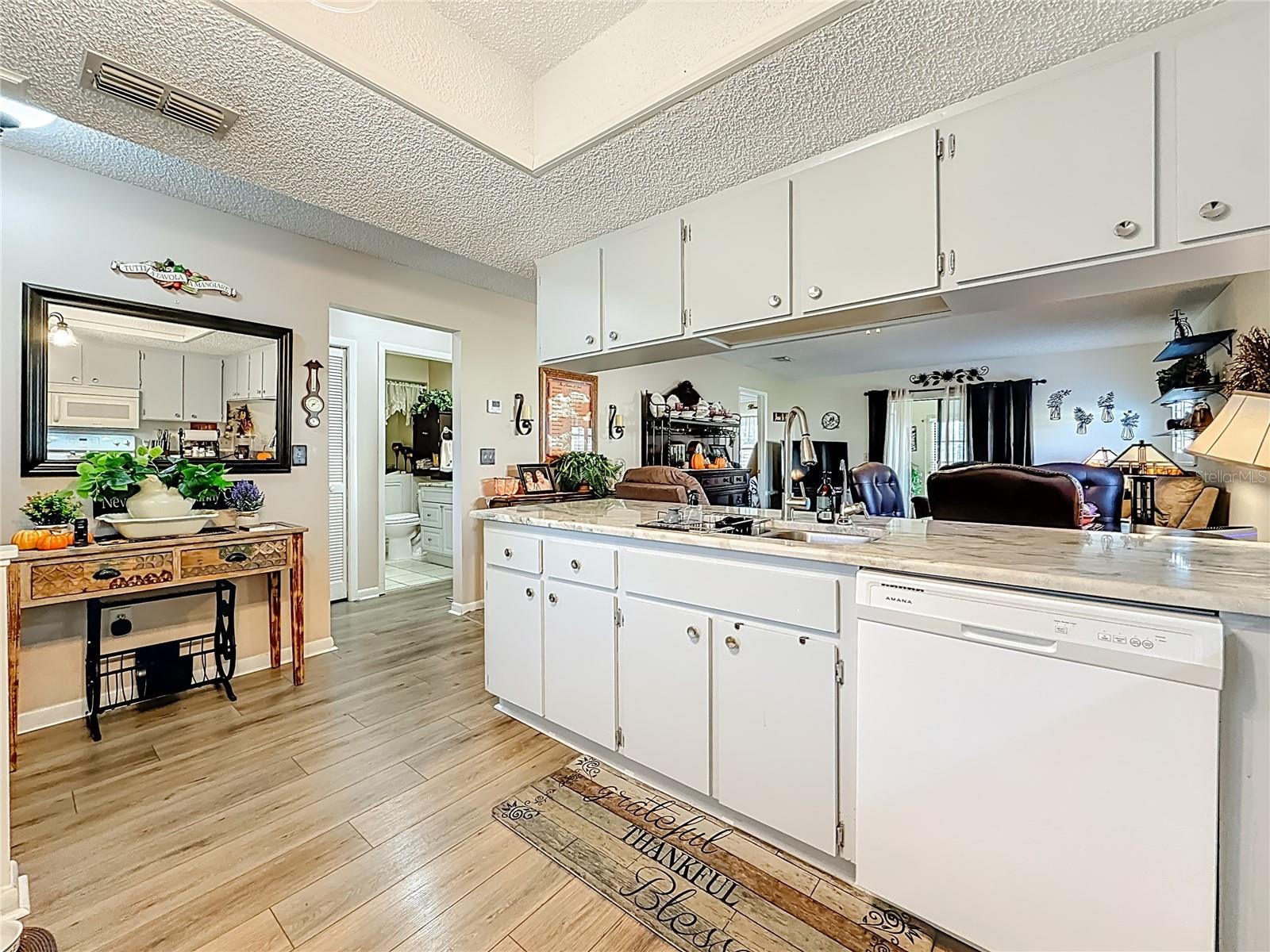 DRIFTWOOD ZEPHYRHILLS - Residential