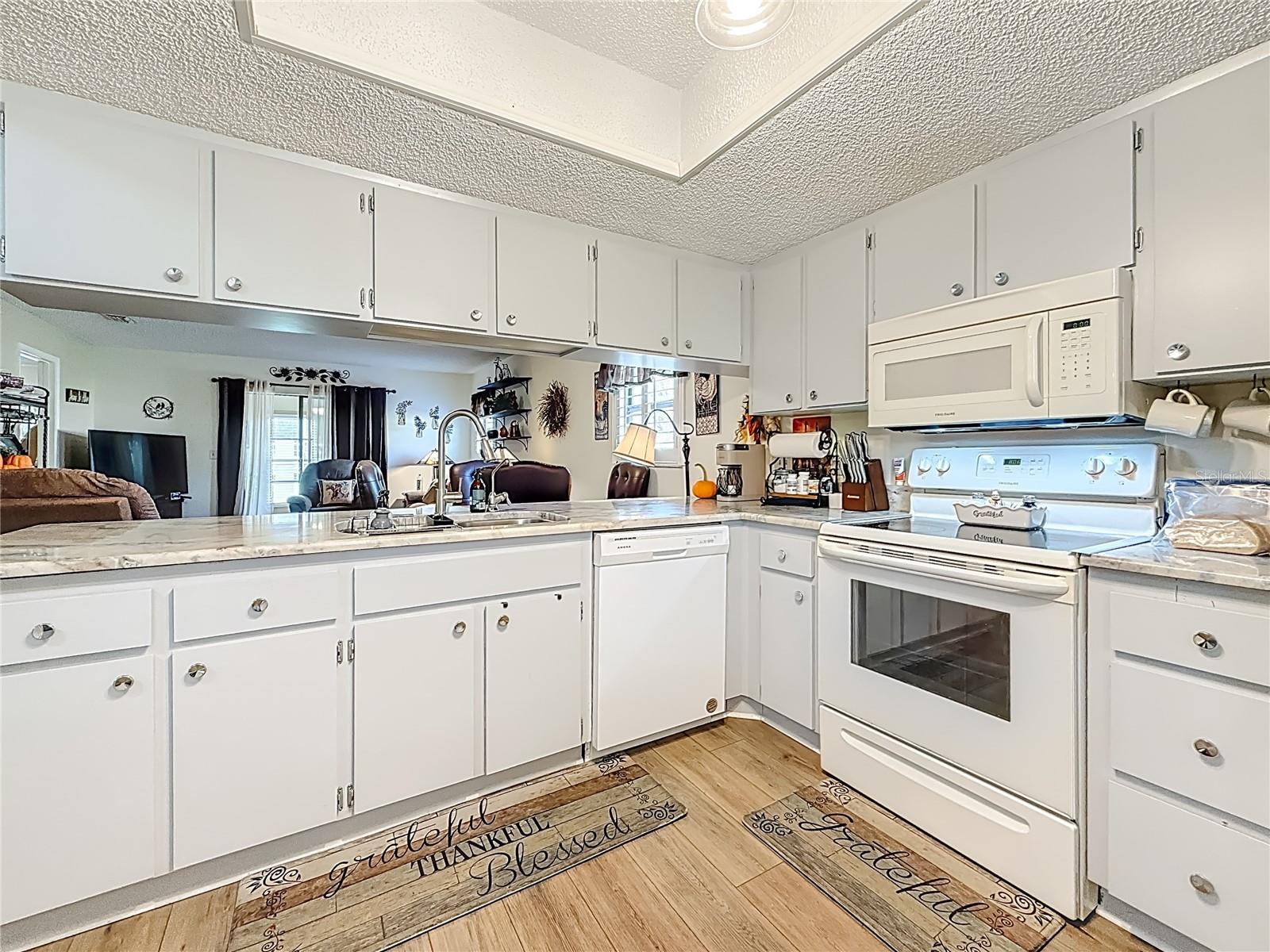 DRIFTWOOD ZEPHYRHILLS - Residential