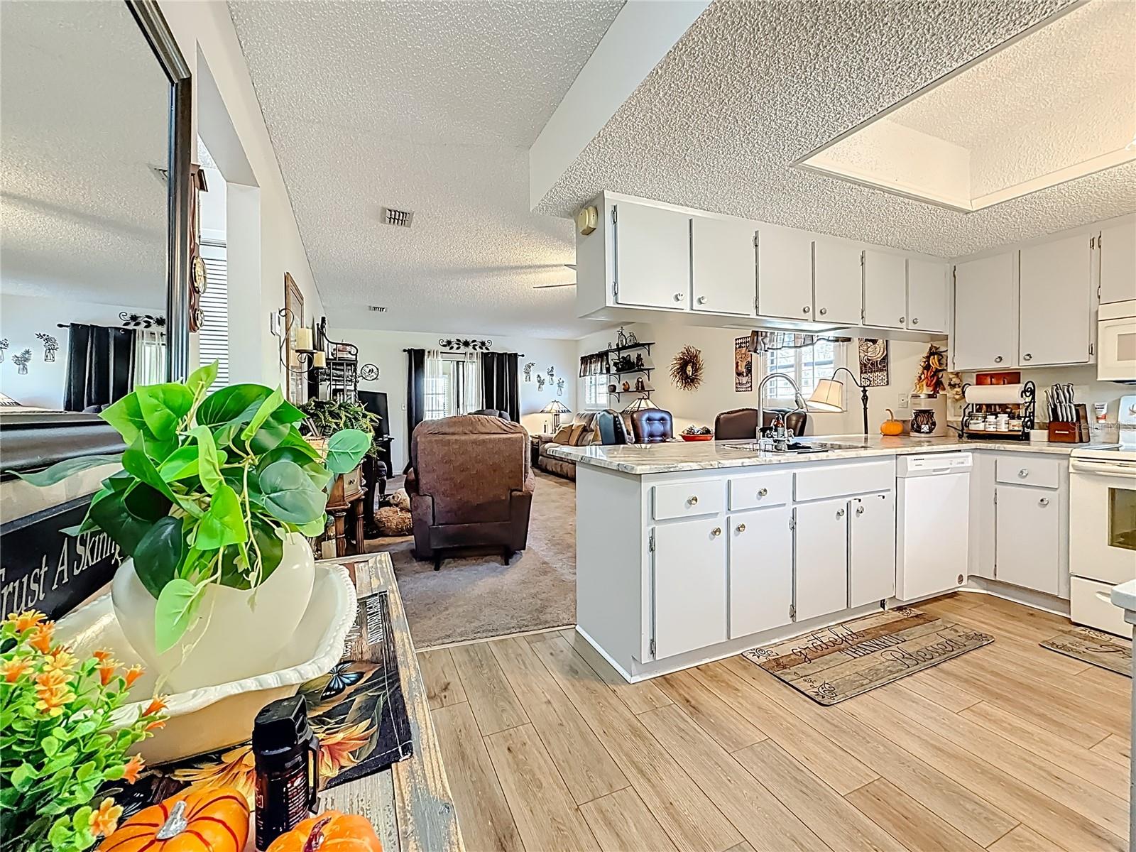 DRIFTWOOD ZEPHYRHILLS - Residential