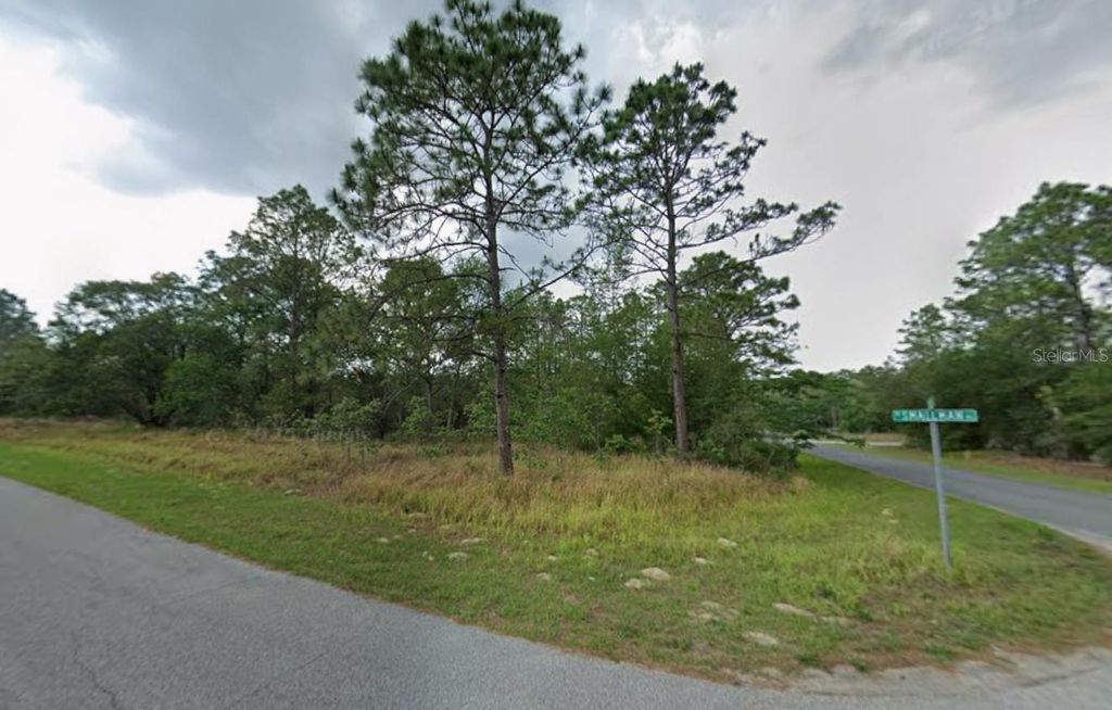 Photo of 805 W Smallman Place, Citrus Springs, FL 34434 (MLS # A4686204)