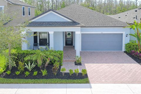 Photo of 5011 Ballantrae Boulevard, Land O Lakes, FL 34638 (MLS # TB8483003)