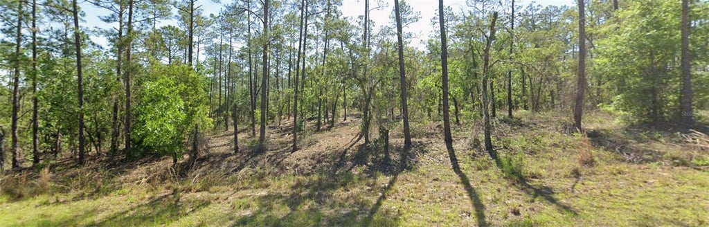 Photo of 00 SW SW Zinnia Court, Dunnellon, FL 34431 (MLS # OM727621)