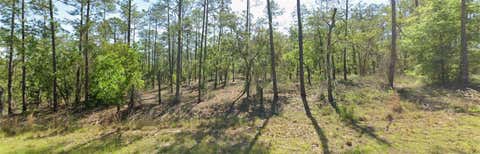 Tiny photo for 00 SW SW Zinnia Court, Dunnellon, FL 34431 (MLS # OM727621)