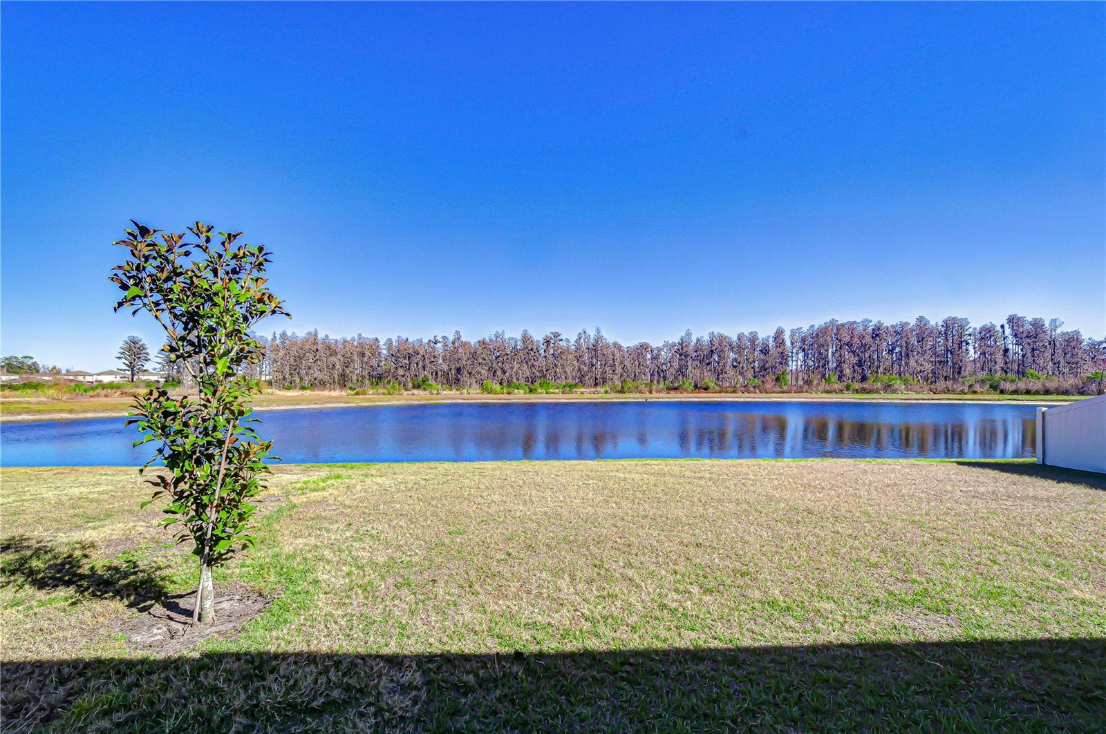 CYPRESS PRESERVE PH 3A & 4A - Residential