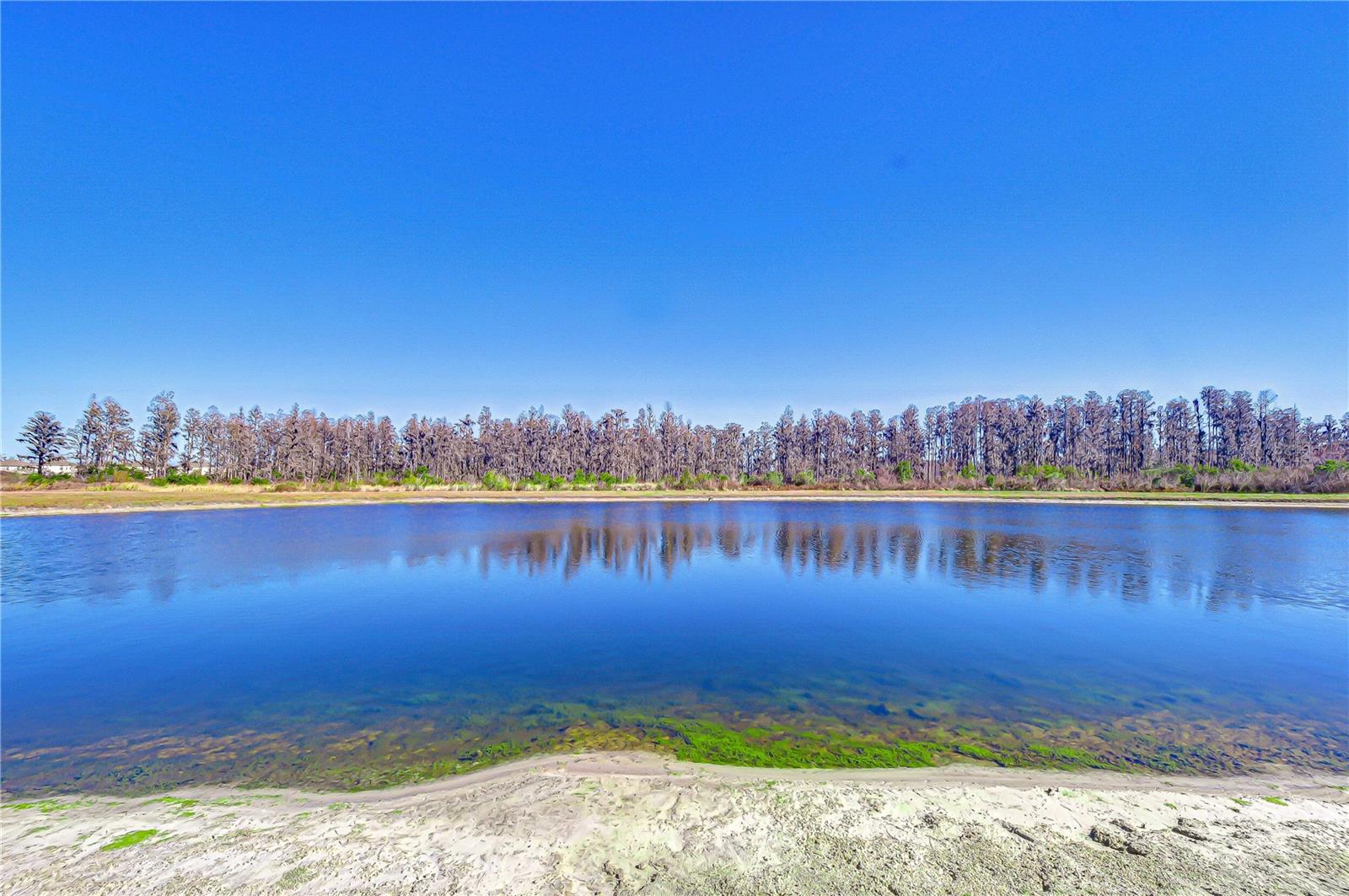 CYPRESS PRESERVE PH 3A & 4A - Residential