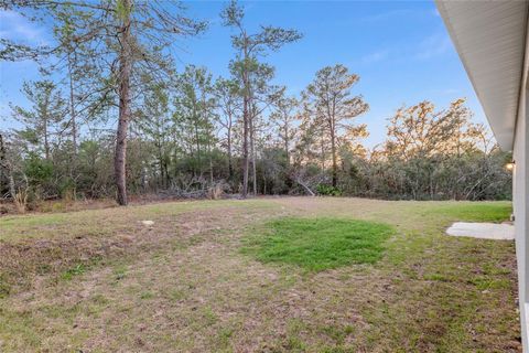 Tiny photo for 3872 W Baton Lane, Citrus Springs, FL 34433 (MLS # OM720058)