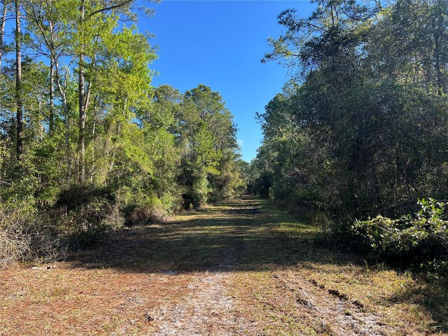 Owner Finance available! COUNTRY LIVING AT ITS BEST COME CHECK OUT THIS OVERSIZED 0.69 ACRE BEAUTIFUL WOODED LOT LOCATED IN GEORGETOWN. BUILD OR BRING YOUR DREAM HOME. Come enjoy St. J River Rod & Reel Club, Boat Ramp, Fishing Pier in Lake George. GO BOATING & FISHING ON RIVER & LAKE. GO SWIMMING IN BEAUTIFUL SALT SPRINGS SILVER GLEN SPRING!! OWNER FINANCING AVAILABLE