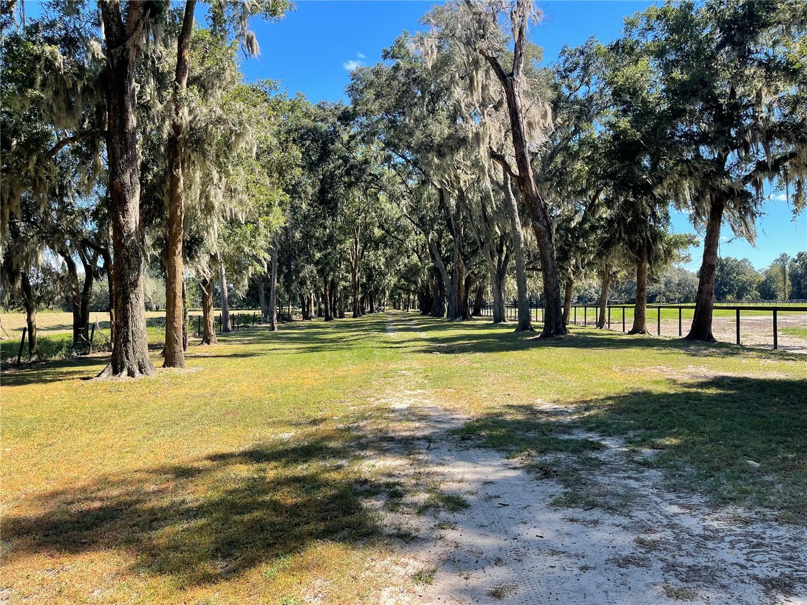 NON SUBDIVISION - Residential