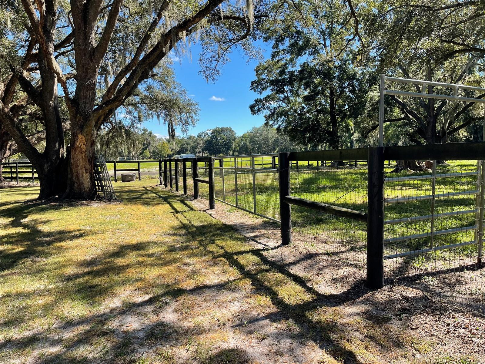 NON SUBDIVISION - Residential