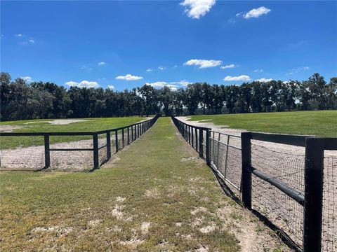 Tiny photo for 2551 NE 107th Place, Chiefland, FL 32626 (MLS # OM710750)