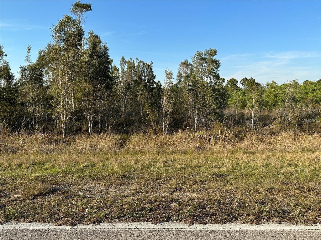 Photo of 30540 Oil Well Road, Punta Gorda, FL 33955 (MLS # D6145541)