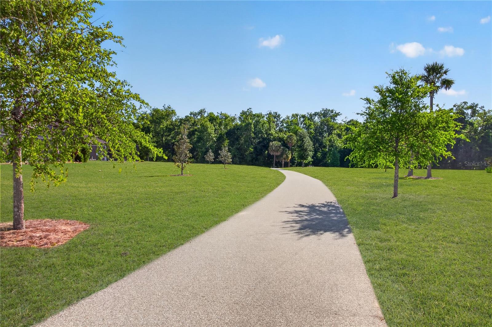 904 MAYNARD PATH