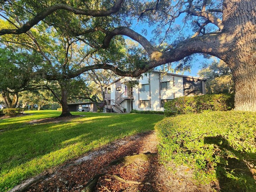 Welcome to Yorktown at Beacon Square — a charming pocket community in picturesque Safety Harbor, nestled beneath moss-draped oaks. This 2-bedroom, 2-bath ground-floor condo offers both comfort and potential. Unlike others, it is set on a private drive just off Beacon Place and is directly located across from the pool, clubhouse, and community mailbox. Step outside your front door and enjoy serene views of mature oaks that surround the property, creating privacy and a peaceful, park-like atmosphere. Lovingly cared for by its long-time owner, this condo is ready for its new owner’s personal updates and finishing touches. Don’t miss this chance to make a Yorktown gem your own — schedule your showing before it’s gone like the wind. Call LA today for additional details!
