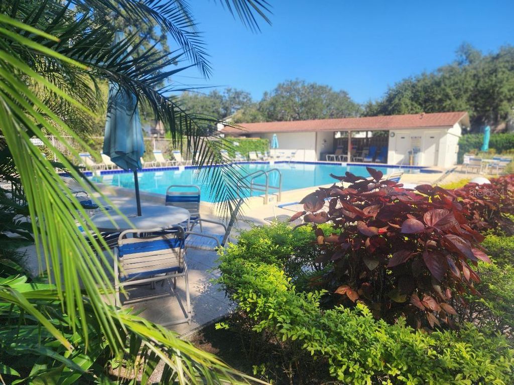 Photo of 603 Baldwin Avenue #B, Safety Harbor, FL 34695 (MLS # TB8424730)