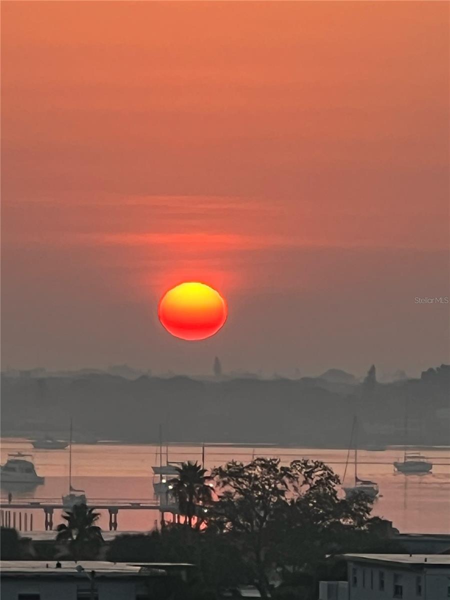TOWN SHORES OF GULFPORT - Residential