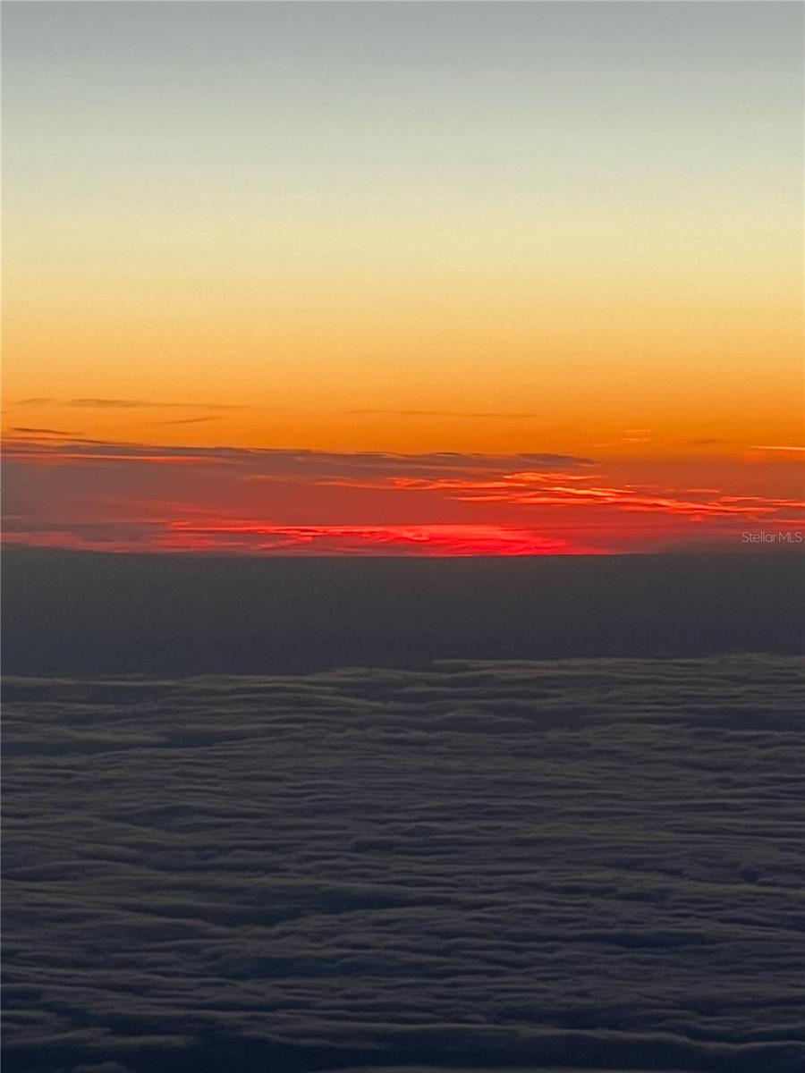 TOWN SHORES OF GULFPORT - Residential