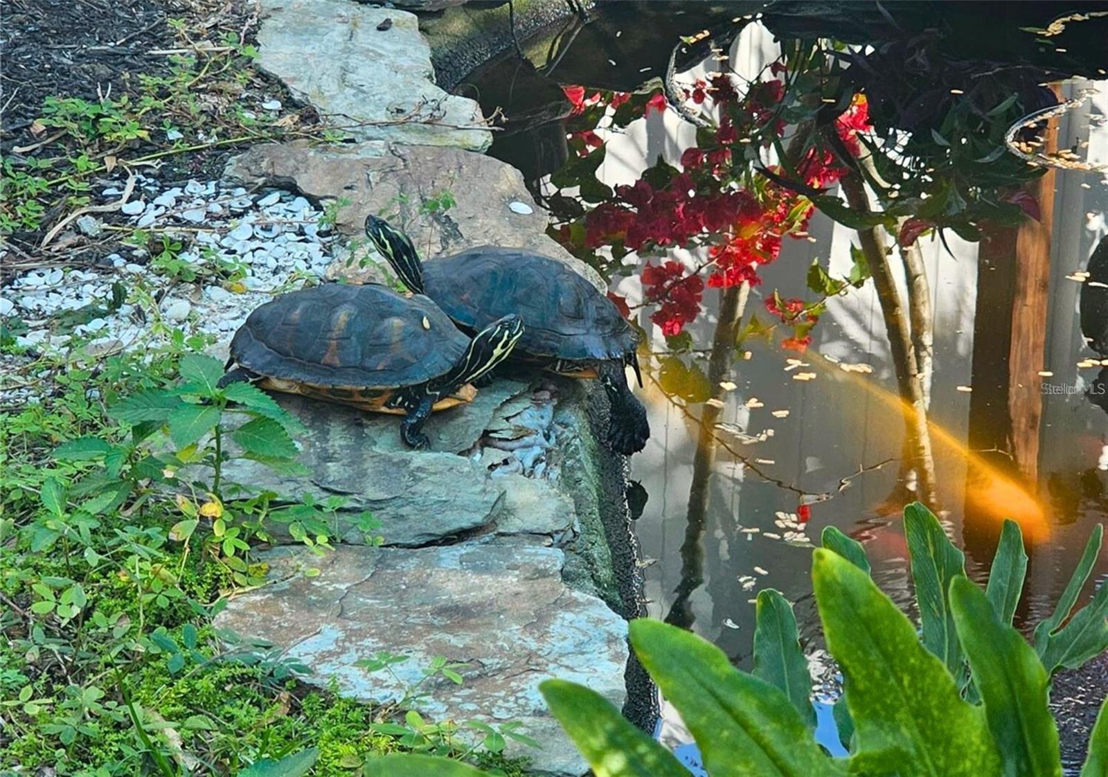 HIGHVIEW SUB BLK C, LOT 10 - Residential