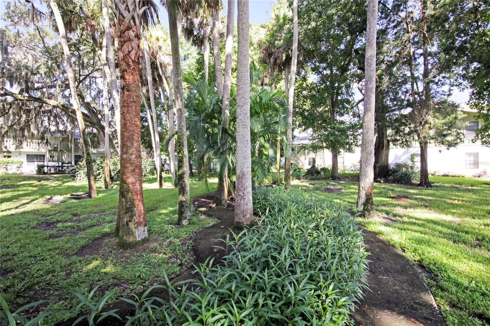 Holly Square Condo - Residential