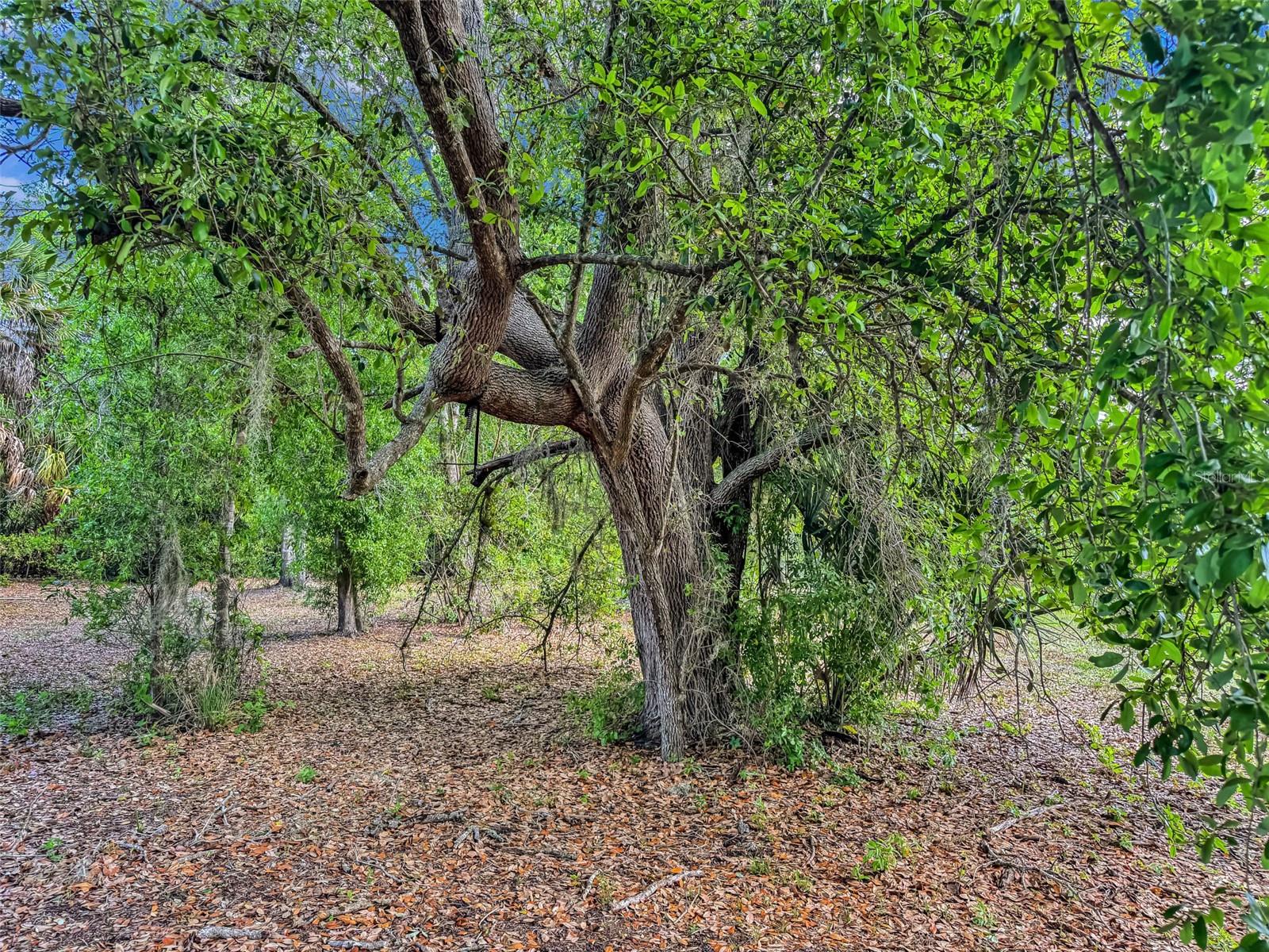 CHARLOTTE RANCHETTES 152 - Residential