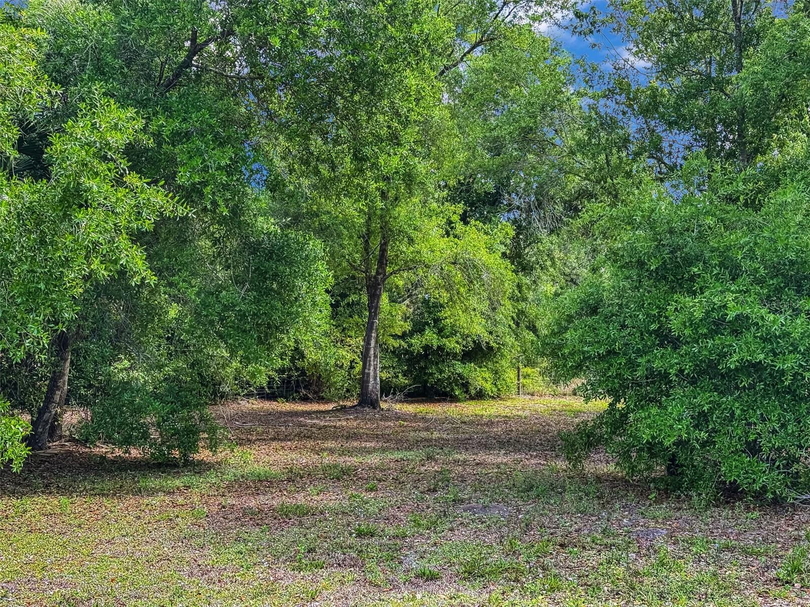 CHARLOTTE RANCHETTES 152 - Residential