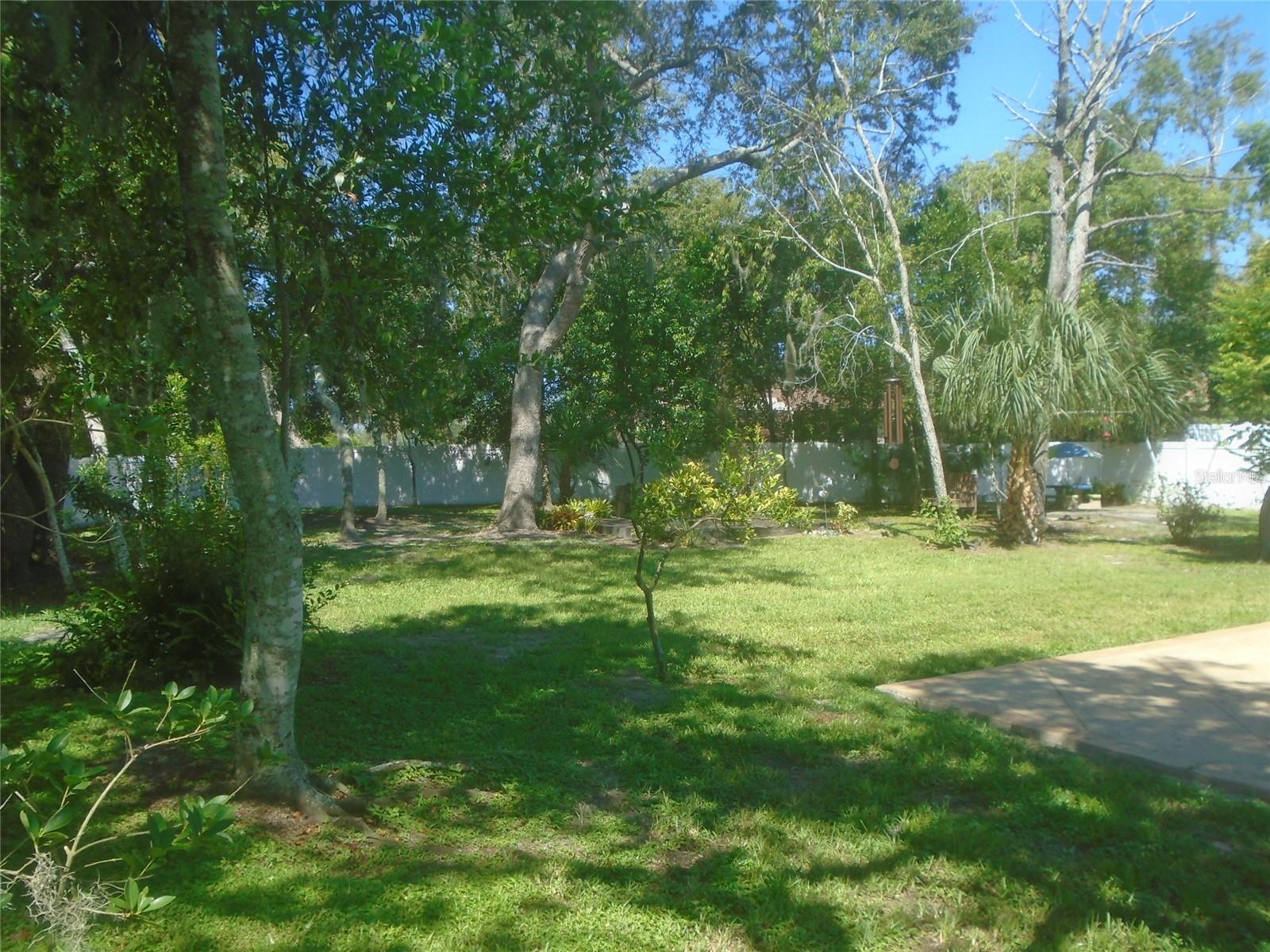 DELTONA LAKES UNIT 40 - Residential