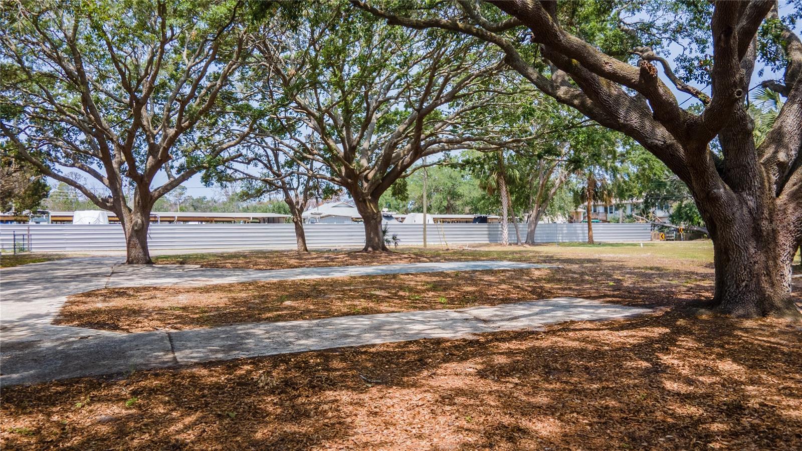 TAMPA TARPON SPGS LAND CO - Land