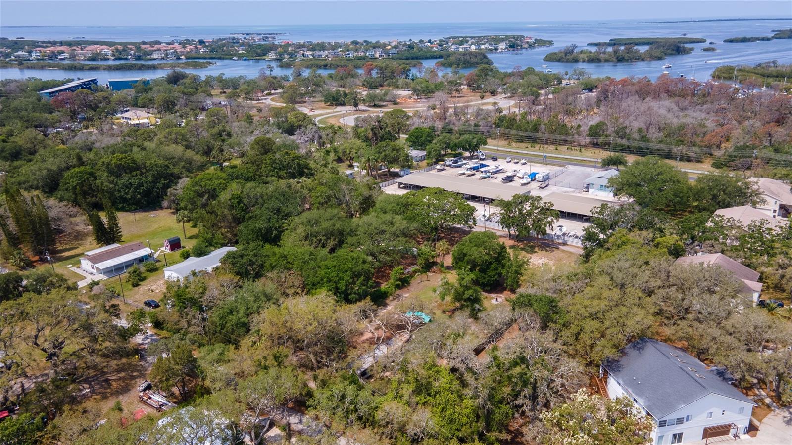 TAMPA TARPON SPGS LAND CO - Land