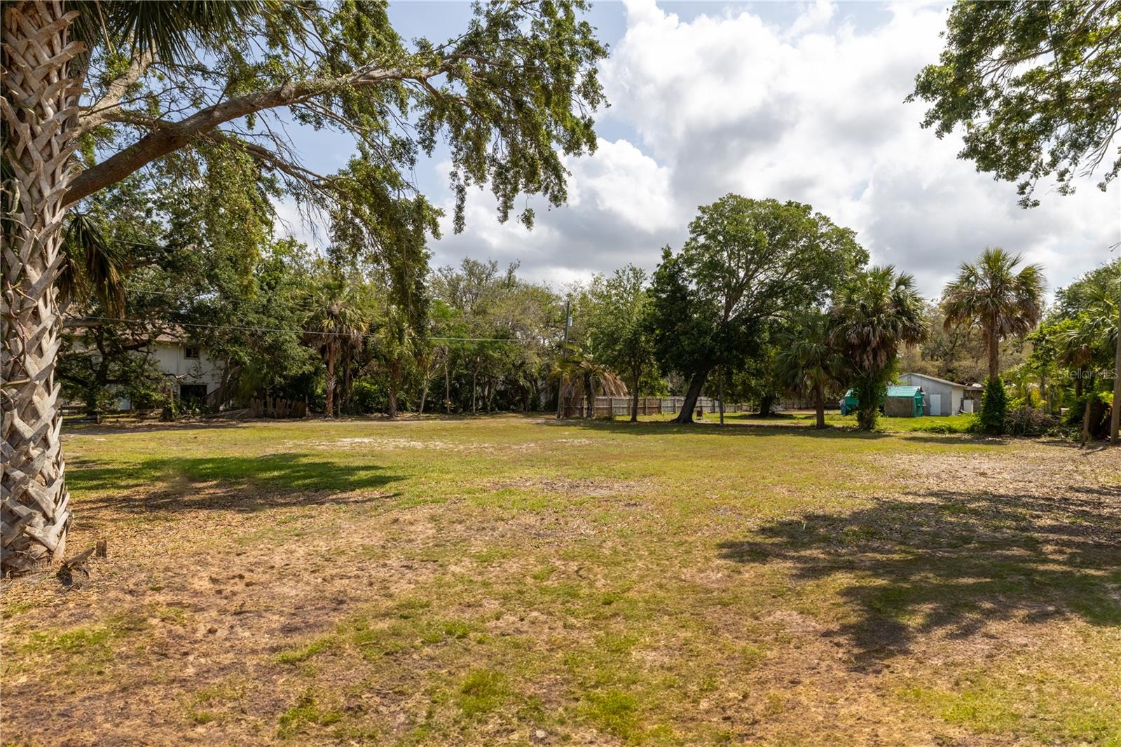 TAMPA TARPON SPGS LAND CO - Land