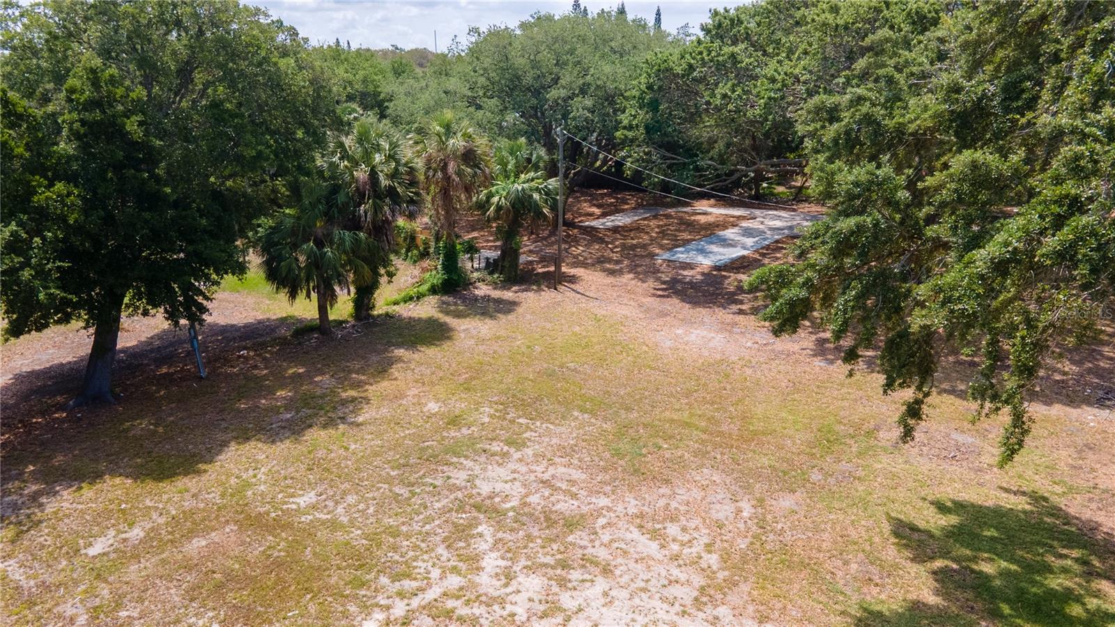 TAMPA TARPON SPGS LAND CO - Land