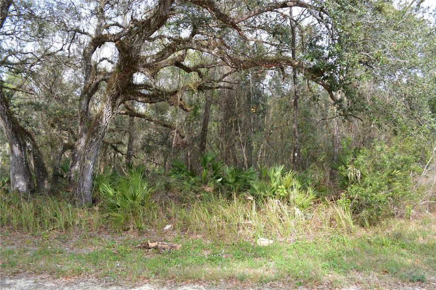 Beautiful, wooded lot ready for your dream home. No HOA, secluded yet convenient to major highways (US 301 to Hwy 50) leading to I-75 for a quick commute to Tampa or Orlando.